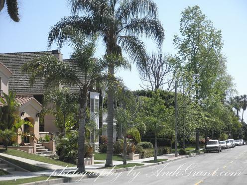 Belmont Heights Neighborhood Long Beach