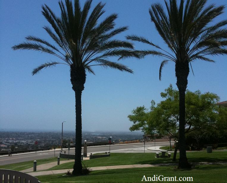Signal Hill overlooking Long Beach 