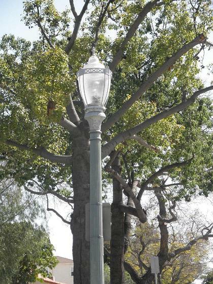 California Heights Resotred lampposts