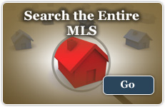 Search the Entire MLS
